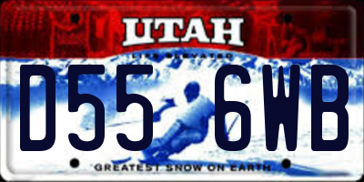 UT license plate D556WB