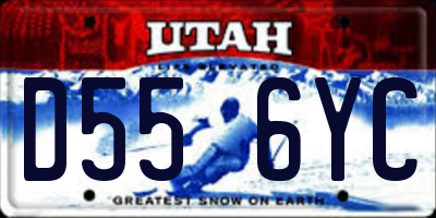 UT license plate D556YC
