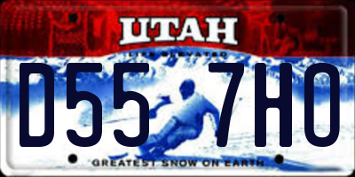 UT license plate D557HO