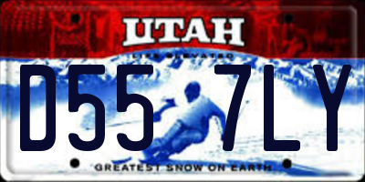 UT license plate D557LY