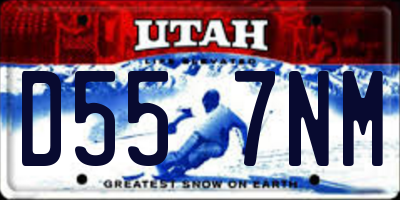 UT license plate D557NM