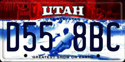 UT license plate D558BC