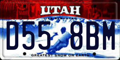 UT license plate D558BM