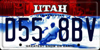 UT license plate D558BV