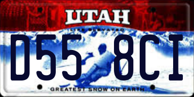 UT license plate D558CI
