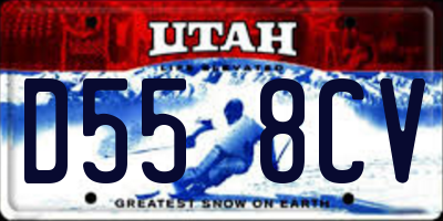 UT license plate D558CV