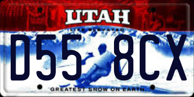 UT license plate D558CX