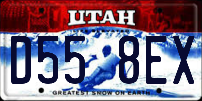 UT license plate D558EX