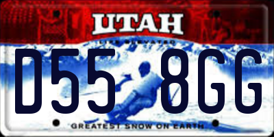 UT license plate D558GG
