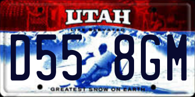 UT license plate D558GM