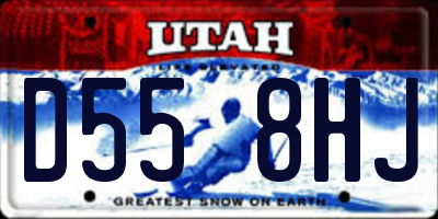 UT license plate D558HJ