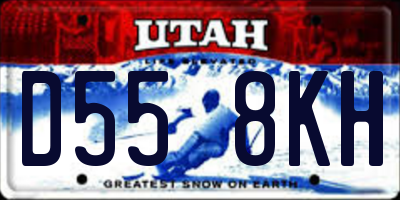 UT license plate D558KH