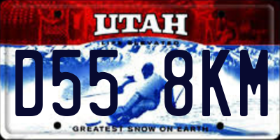 UT license plate D558KM