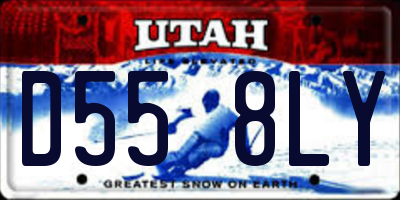 UT license plate D558LY