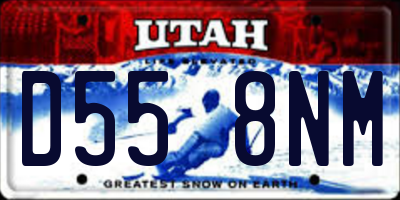 UT license plate D558NM