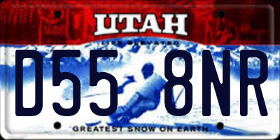 UT license plate D558NR