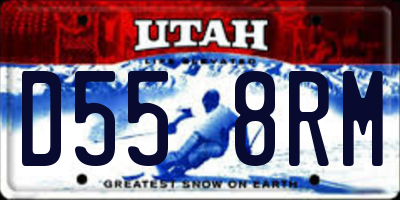 UT license plate D558RM
