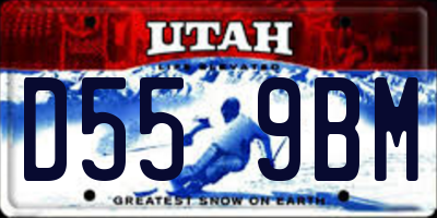 UT license plate D559BM