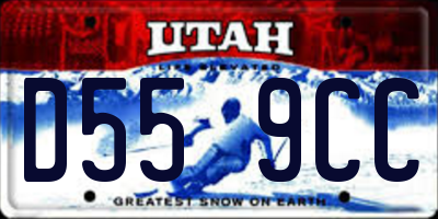 UT license plate D559CC