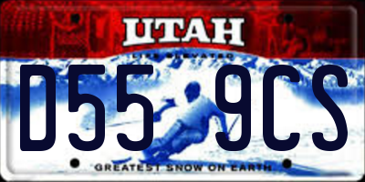 UT license plate D559CS