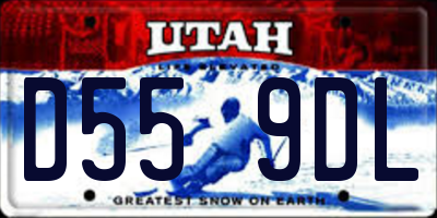 UT license plate D559DL