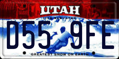 UT license plate D559FE