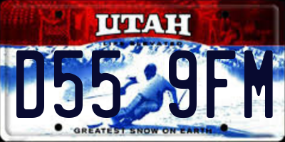 UT license plate D559FM