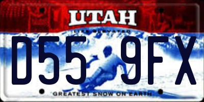 UT license plate D559FX