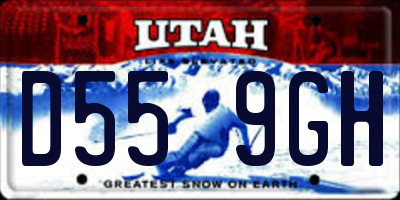 UT license plate D559GH