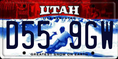 UT license plate D559GW