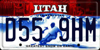 UT license plate D559HM