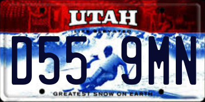 UT license plate D559MN