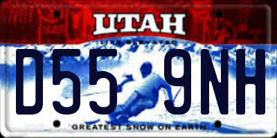 UT license plate D559NH