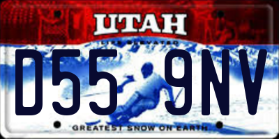 UT license plate D559NV