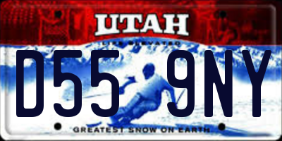 UT license plate D559NY