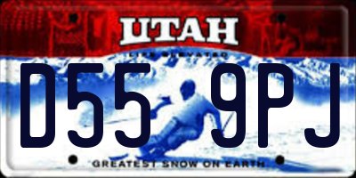 UT license plate D559PJ