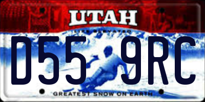 UT license plate D559RC