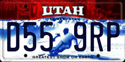 UT license plate D559RP