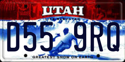 UT license plate D559RQ