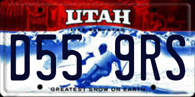 UT license plate D559RS