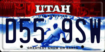 UT license plate D559SW