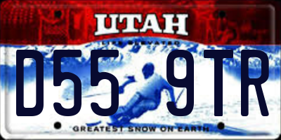UT license plate D559TR