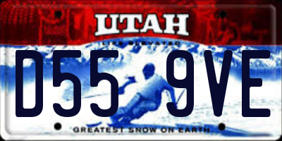 UT license plate D559VE