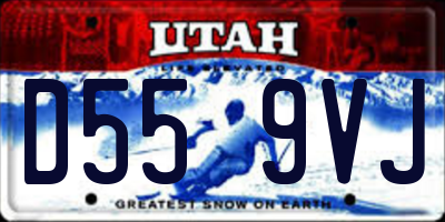 UT license plate D559VJ