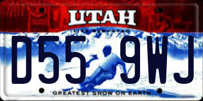 UT license plate D559WJ