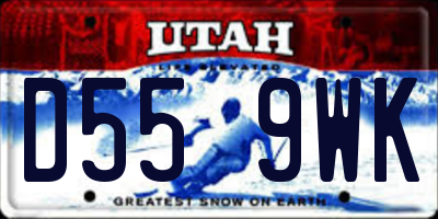 UT license plate D559WK