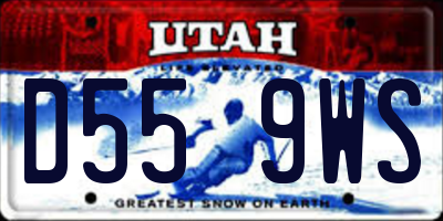 UT license plate D559WS