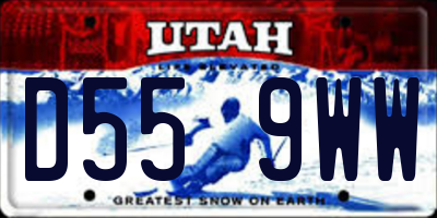 UT license plate D559WW