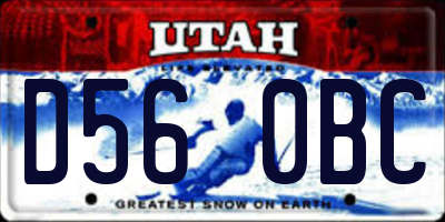 UT license plate D560BC
