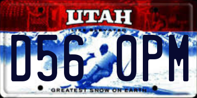 UT license plate D560PM